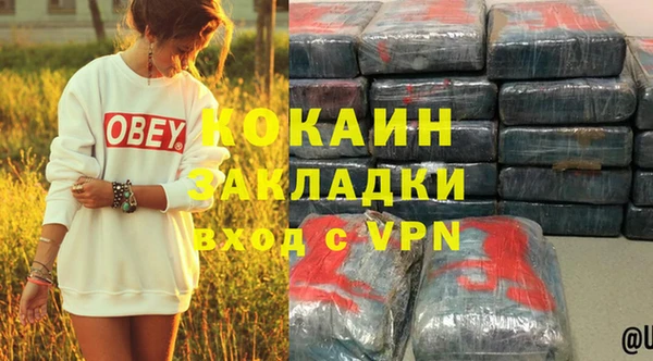 стафф Алзамай
