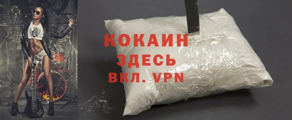 стафф Алзамай