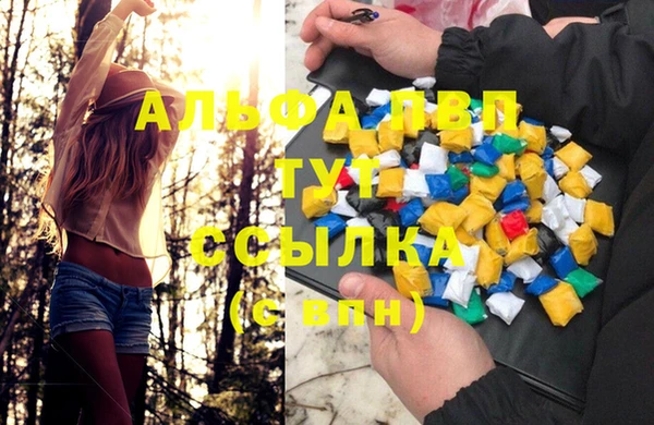 стафф Алзамай