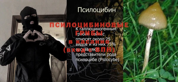 стафф Алзамай