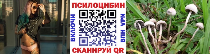 Псилоцибиновые грибы Magic Shrooms  Ивангород 