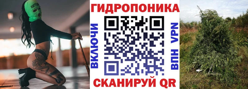 Канабис марихуана  Ивангород 